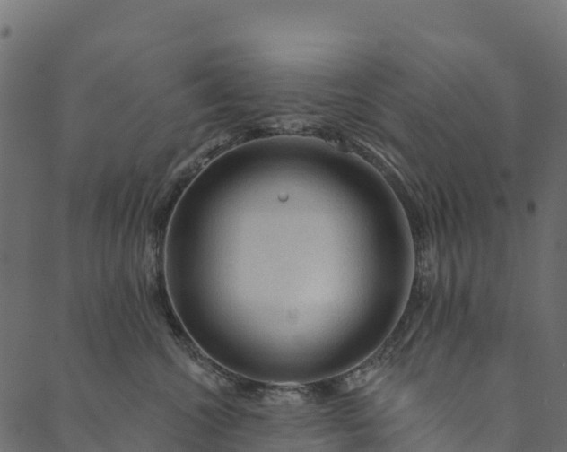 X0000089660572200707121202