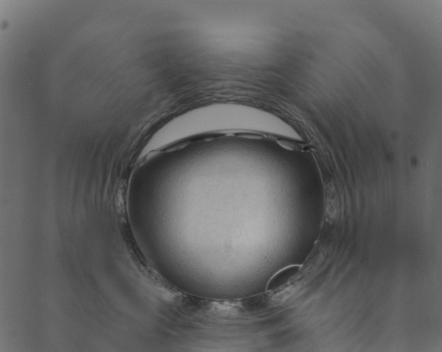 X0000089660573200707121202