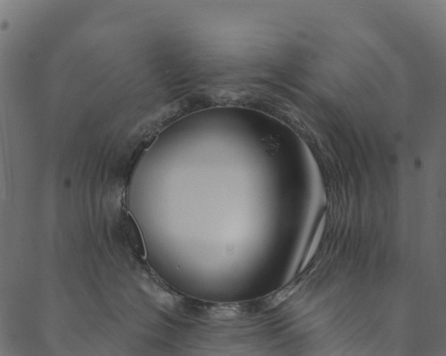 X0000089660574200707121202