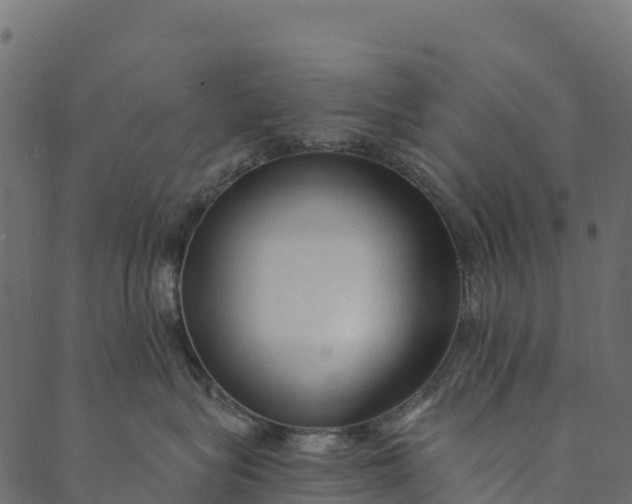 X0000089660575200707121202