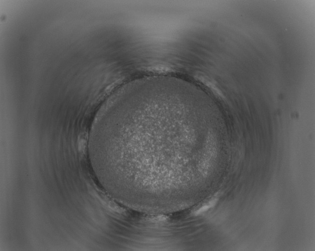 X0000089660576200707121202