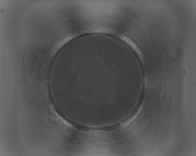 X0000089660577200707121201