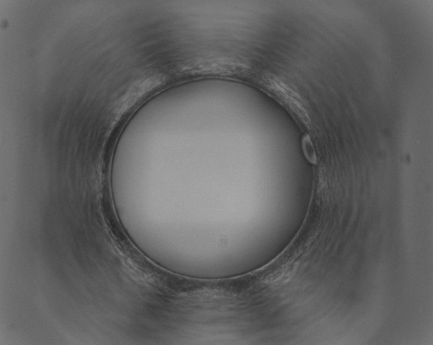 X0000089660578200707121201