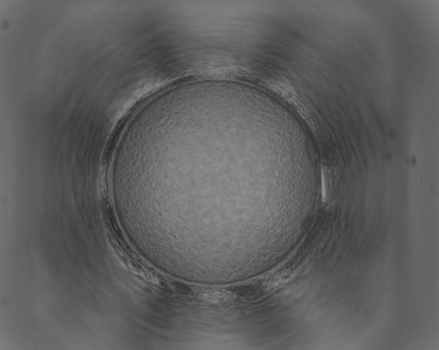 X0000089660579200707121201