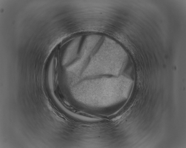 X0000089660580200707121201