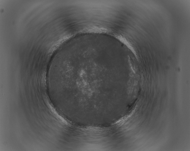 X0000089660581200707121201