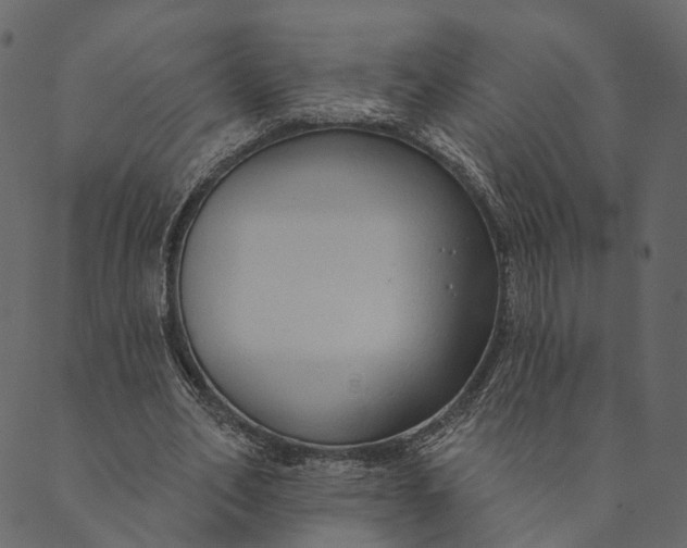 X0000089660582200707121201