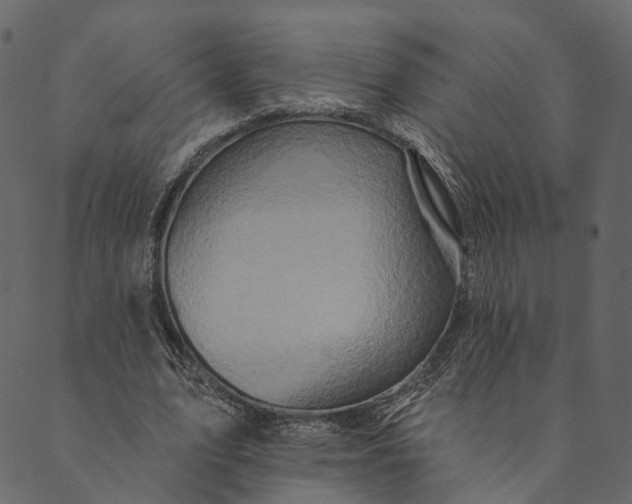 X0000089660583200707121201