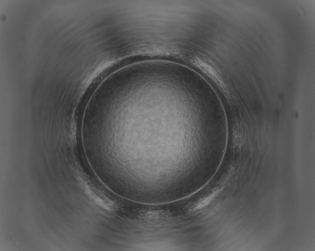 X0000089660584200707121201