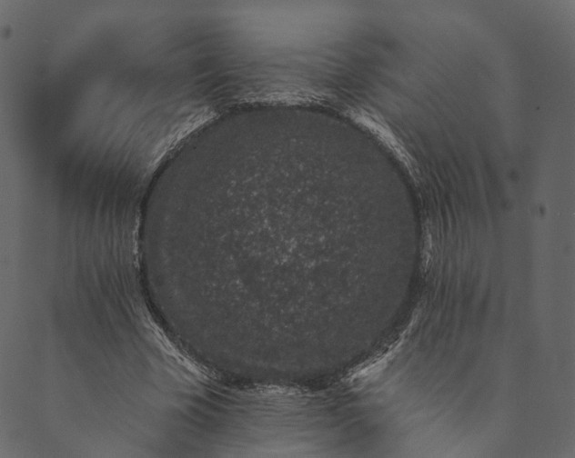 X0000089660585200707121201