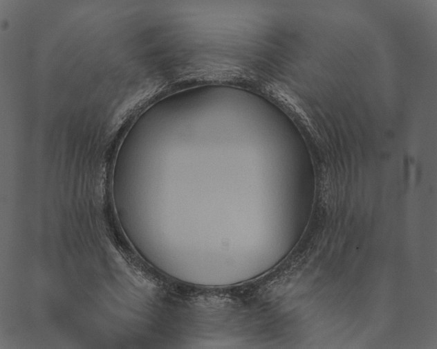 X0000089660586200707121201