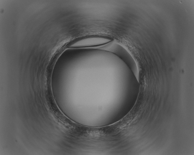 X0000089660587200707121201