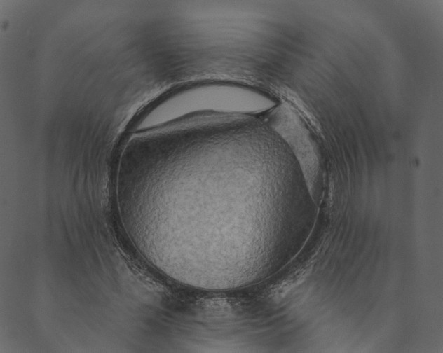 X0000089660588200707121201