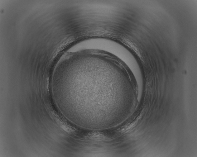 X0000089660589200707121201