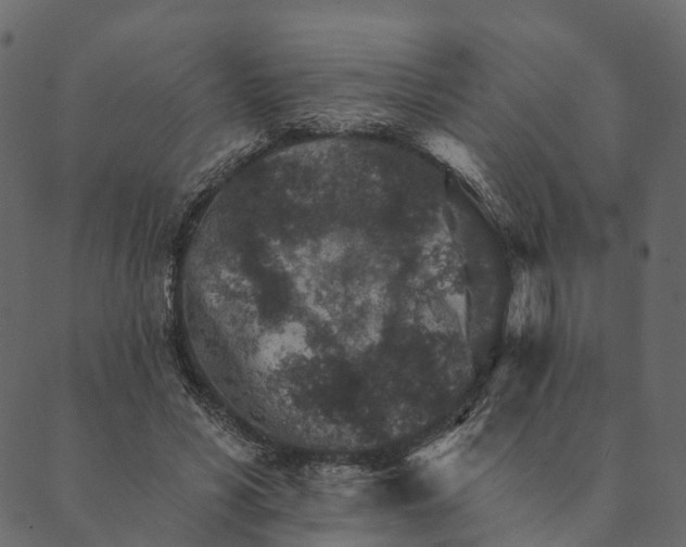 X0000089660590200707121201