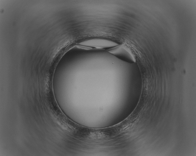 X0000089660591200707121201