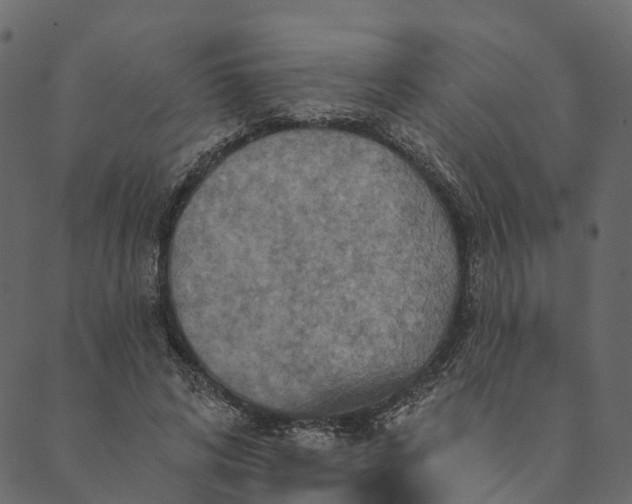 X0000089660592200707121201