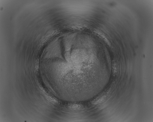 X0000089660593200707121201