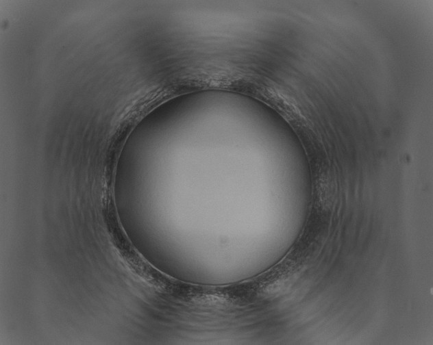 X0000089660594200707121201