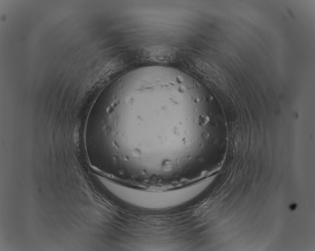 X0000089660595200707121201