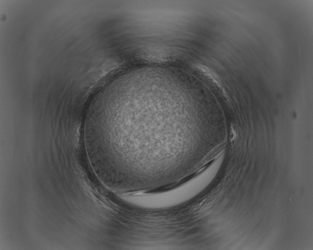 X0000089660596200707121201