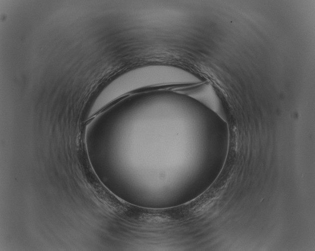 X0000089660597200707121201