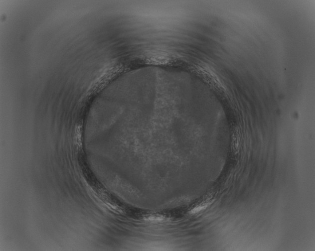 X0000089660598200707121201