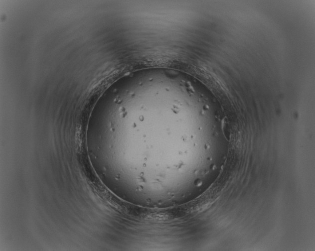 X0000089660599200707121201