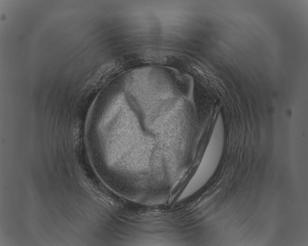 X0000089660600200707121201