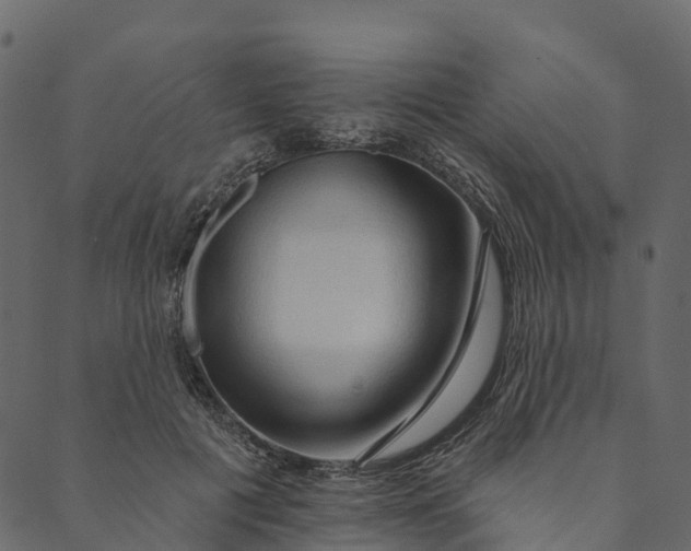 X0000089660601200707121201