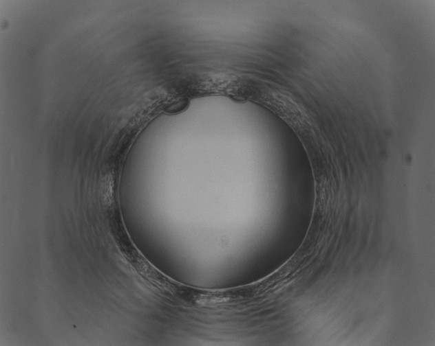 X0000089660602200707121201