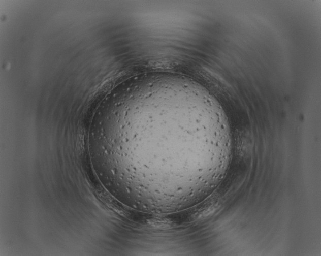 X0000089660603200707121201