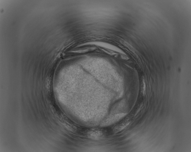 X0000089660604200707121201