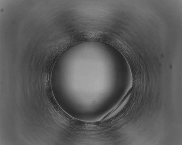 X0000089660605200707121201