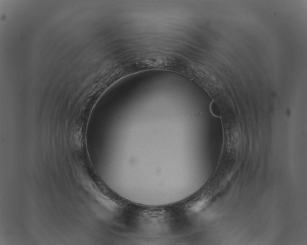 X0000089660606200707121200