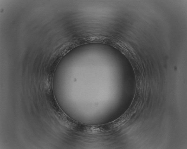 X0000089660607200707121200