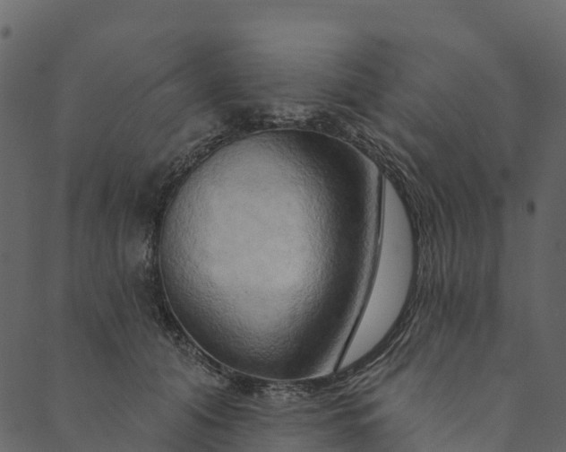 X0000089660608200707121200