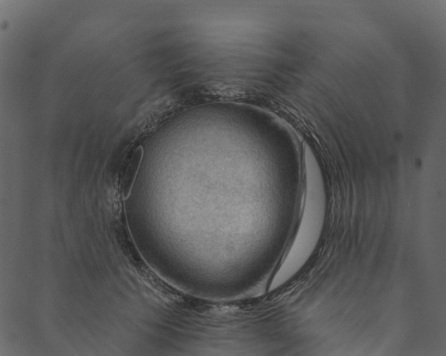 X0000089660609200707121200