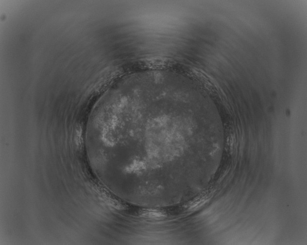 X0000089660610200707121200