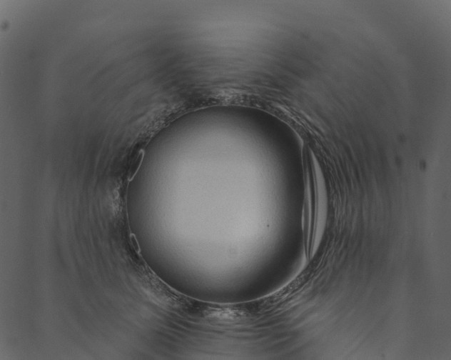 X0000089660611200707121200