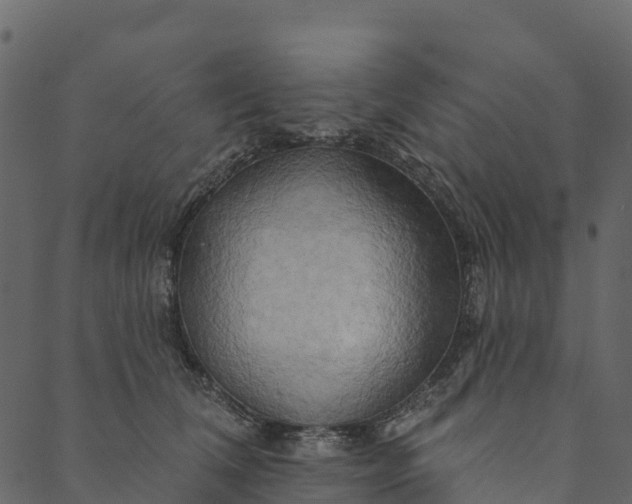 X0000089660612200707121200