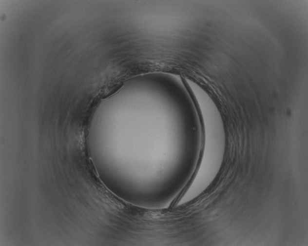 X0000089660613200707121200