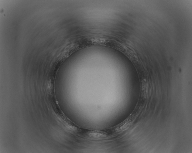 X0000089660614200707121200