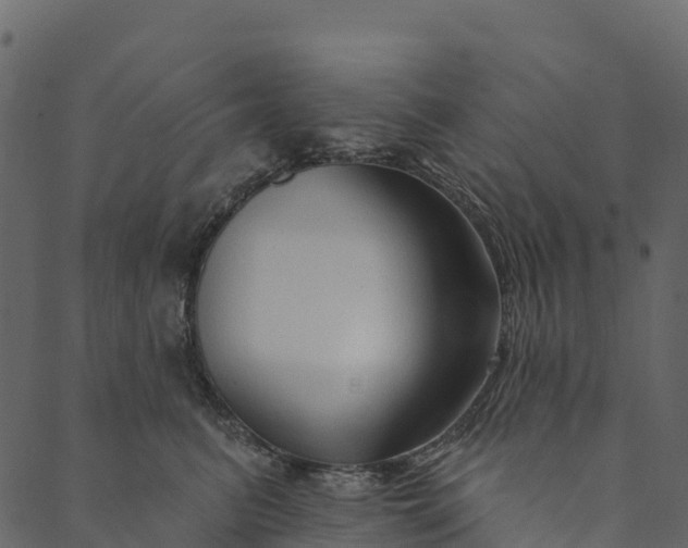 X0000089660615200707121200