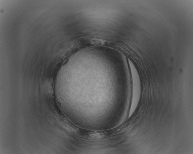 X0000089660616200707121200