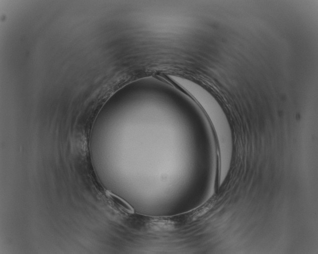 X0000089660617200707121200