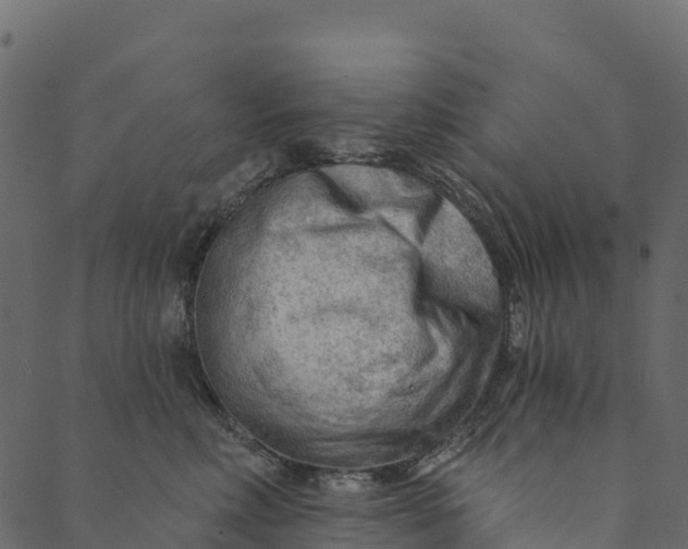 X0000089660618200707121200