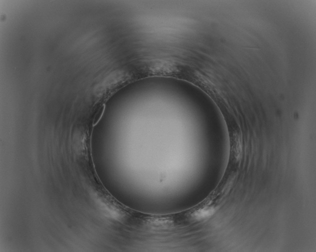 X0000089660619200707121200