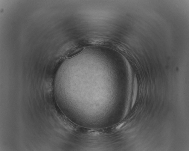 X0000089660620200707121200