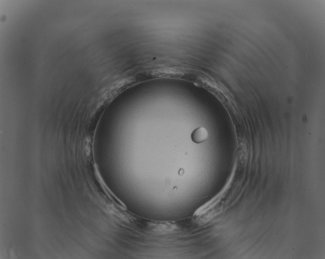 X0000089660621200707121200